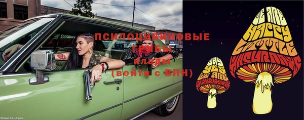 скорость Заводоуковск