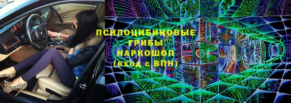 молекула духа Заволжск
