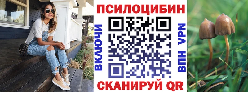 Галлюциногенные грибы Psilocybine cubensis  Купить закладки  Цимлянск 